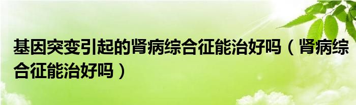 基因突变引起的肾病综合征能治好吗（肾病综合征能治好吗）