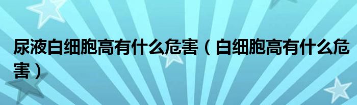 尿液白细胞高有什么危害（白细胞高有什么危害）