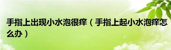 手指上出现小水泡很痒（手指上起小水泡痒怎么办）