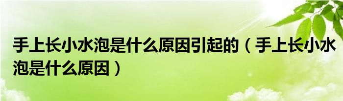 手上长小水泡是什么原因引起的（手上长小水泡是什么原因）