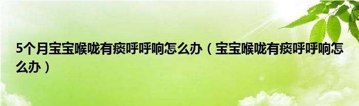 5个月宝宝喉咙有痰呼呼响怎么办（宝宝喉咙有痰呼呼响怎么办）