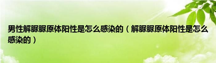 男性解脲脲原体阳性是怎么感染的（解脲脲原体阳性是怎么感染的）