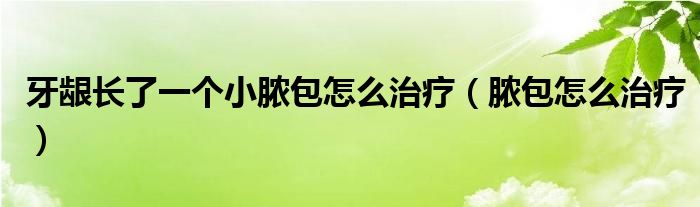 牙龈长了一个小脓包怎么治疗（脓包怎么治疗）