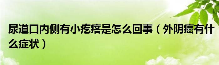 尿道口内侧有小疙瘩是怎么回事（外阴癌有什么症状）