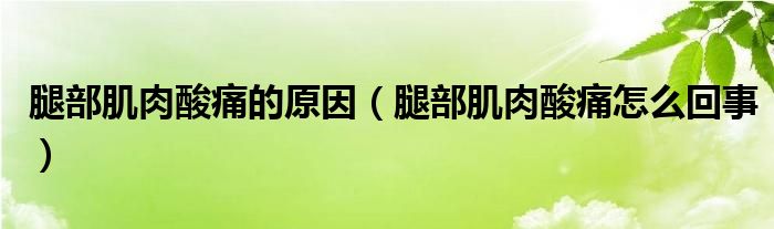 腿部肌肉酸痛的原因（腿部肌肉酸痛怎么回事）