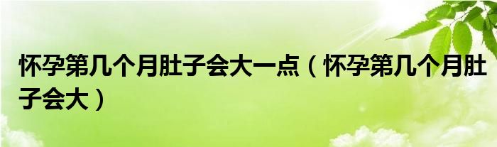 怀孕第几个月肚子会大一点（怀孕第几个月肚子会大）