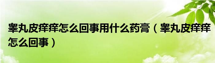 睾丸皮痒痒怎么回事用什么药膏（睾丸皮痒痒怎么回事）