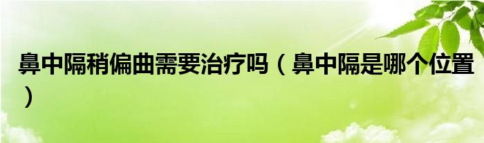 鼻中隔稍偏曲需要治疗吗（鼻中隔是哪个位置）