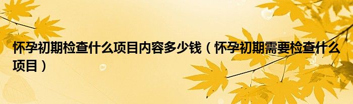 怀孕初期检查什么项目内容多少钱（怀孕初期需要检查什么项目）