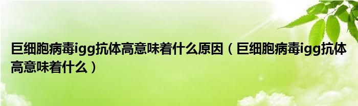 巨细胞病毒igg抗体高意味着什么原因（巨细胞病毒igg抗体高意味着什么）