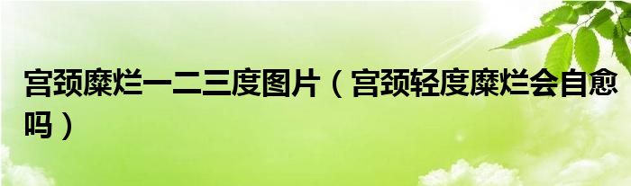 宫颈糜烂一二三度图片（宫颈轻度糜烂会自愈吗）