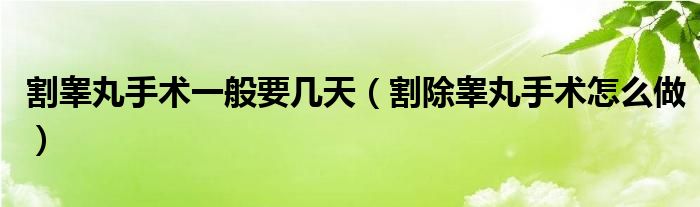 割睾丸手术一般要几天（割除睾丸手术怎么做）