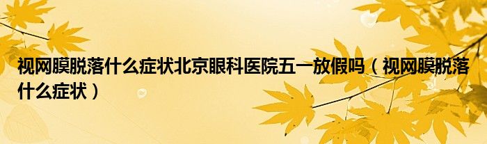 视网膜脱落什么症状北京眼科医院五一放假吗（视网膜脱落什么症状）