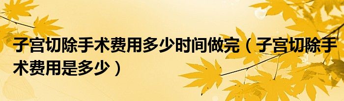 子宫切除手术费用多少时间做完（子宫切除手术费用是多少）