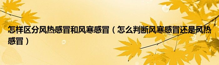 怎样区分风热感冒和风寒感冒（怎么判断风寒感冒还是风热感冒）