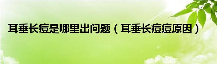 耳垂长痘是哪里出问题（耳垂长痘痘原因）