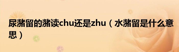 尿潴留的潴读chu还是zhu（水潴留是什么意思）