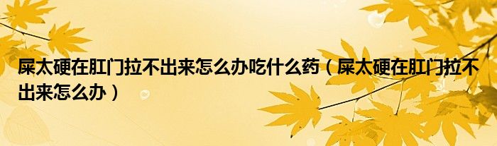 屎太硬在肛门拉不出来怎么办吃什么药（屎太硬在肛门拉不出来怎么办）