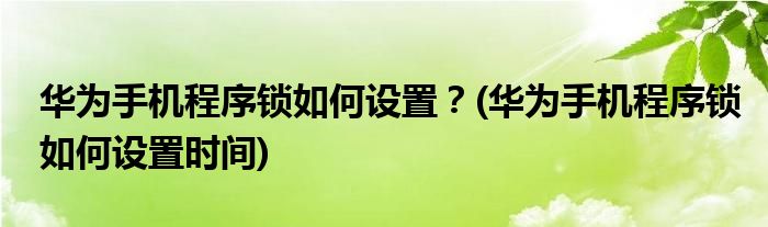 华为手机程序锁如何设置？(华为手机程序锁如何设置时间)