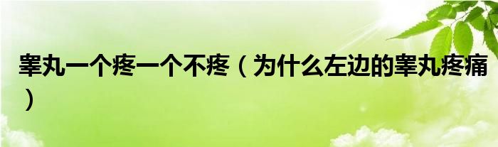 睾丸一个疼一个不疼（为什么左边的睾丸疼痛）