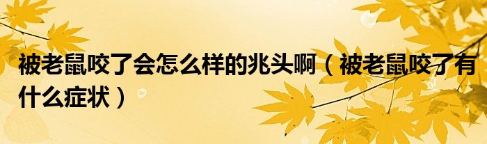 被老鼠咬了会怎么样的兆头啊（被老鼠咬了有什么症状）