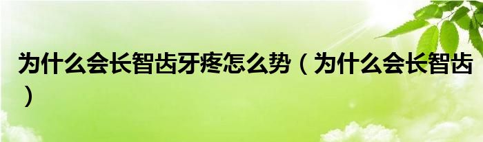 为什么会长智齿牙疼怎么势（为什么会长智齿）