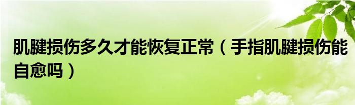 肌腱损伤多久才能恢复正常（手指肌腱损伤能自愈吗）