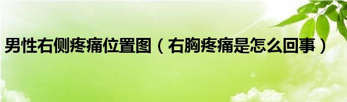 男性右侧疼痛位置图（右胸疼痛是怎么回事）