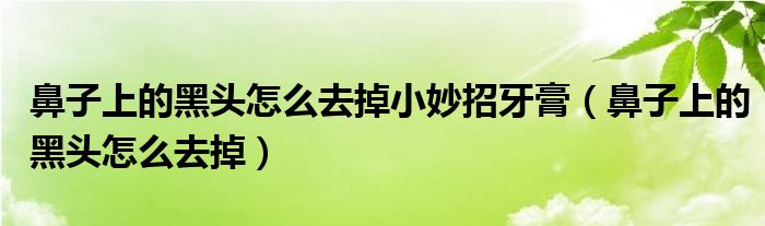 鼻子上的黑头怎么去掉小妙招牙膏（鼻子上的黑头怎么去掉）