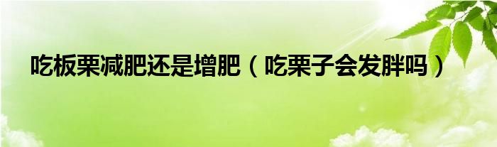 吃板栗减肥还是增肥（吃栗子会发胖吗）