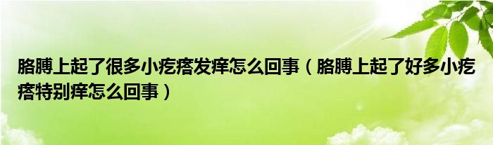 胳膊上起了很多小疙瘩发痒怎么回事（胳膊上起了好多小疙瘩特别痒怎么回事）