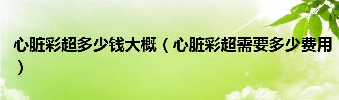 心脏彩超多少钱大概（心脏彩超需要多少费用）