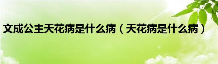 文成公主天花病是什么病（天花病是什么病）