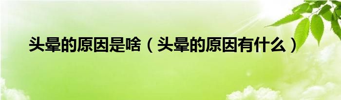 头晕的原因是啥（头晕的原因有什么）