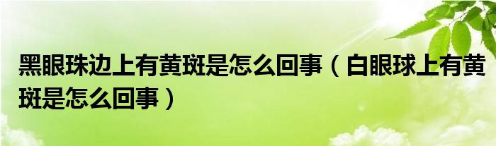 黑眼珠边上有黄斑是怎么回事（白眼球上有黄斑是怎么回事）