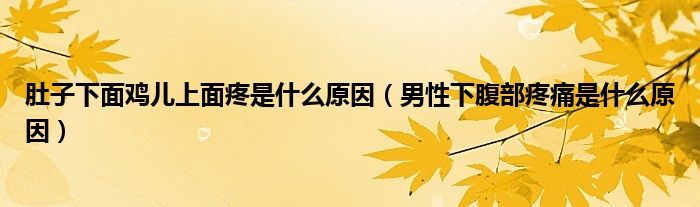 肚子下面鸡儿上面疼是什么原因（男性下腹部疼痛是什么原因）