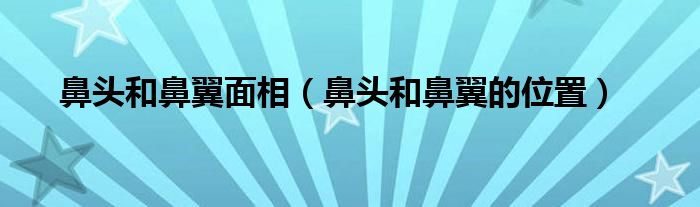 鼻头和鼻翼面相（鼻头和鼻翼的位置）