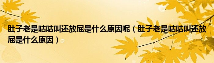 肚子老是咕咕叫还放屁是什么原因呢（肚子老是咕咕叫还放屁是什么原因）