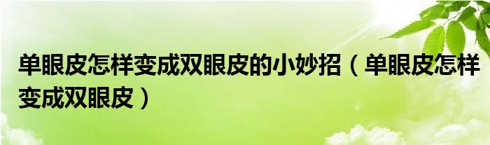 单眼皮怎样变成双眼皮的小妙招（单眼皮怎样变成双眼皮）