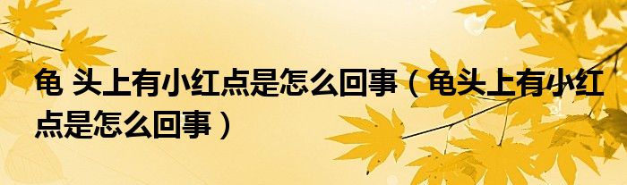 龟 头上有小红点是怎么回事（龟头上有小红点是怎么回事）