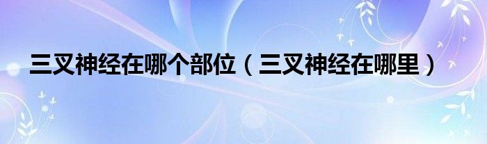 三叉神经在哪个部位（三叉神经在哪里）