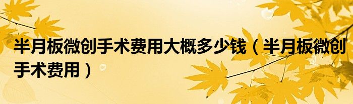 半月板微创手术费用大概多少钱（半月板微创手术费用）