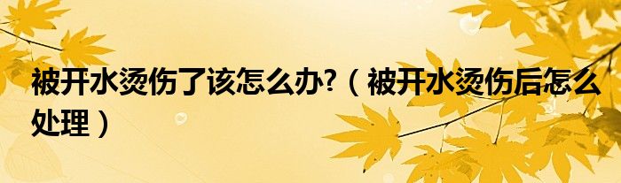 被开水烫伤了该怎么办?（被开水烫伤后怎么处理）