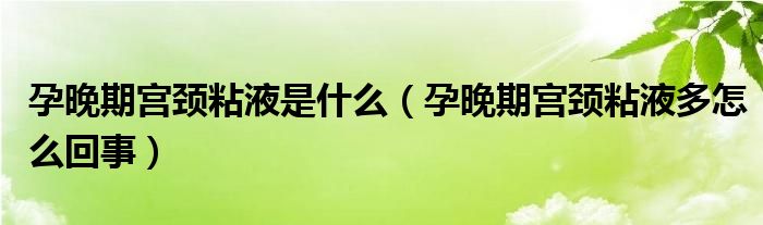 孕晚期宫颈粘液是什么（孕晚期宫颈粘液多怎么回事）