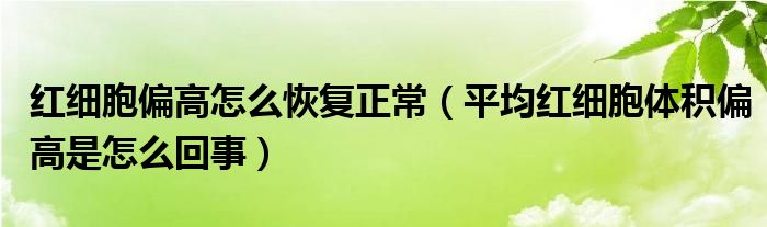 红细胞偏高怎么恢复正常（平均红细胞体积偏高是怎么回事）