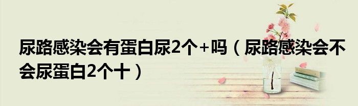 尿路感染会有蛋白尿2个+吗（尿路感染会不会尿蛋白2个十）