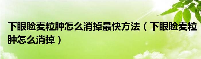 下眼睑麦粒肿怎么消掉最快方法（下眼睑麦粒肿怎么消掉）