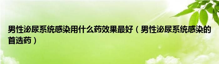 男性泌尿系统感染用什么药效果最好（男性泌尿系统感染的首选药）