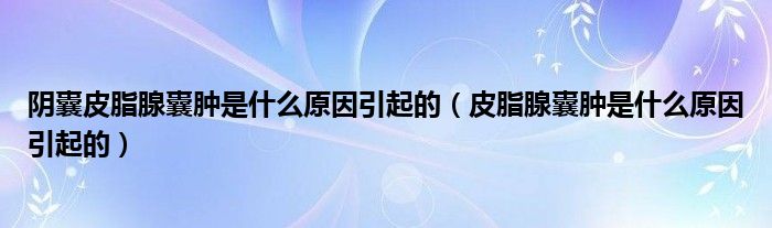 阴囊皮脂腺囊肿是什么原因引起的（皮脂腺囊肿是什么原因引起的）