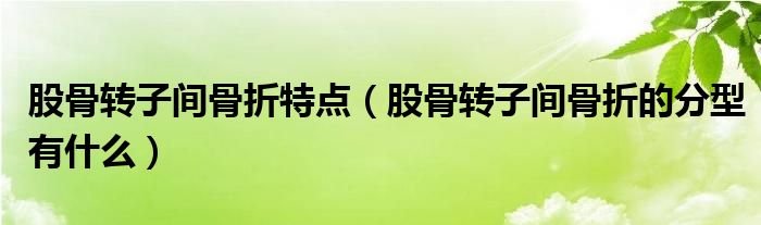 股骨转子间骨折特点（股骨转子间骨折的分型有什么）